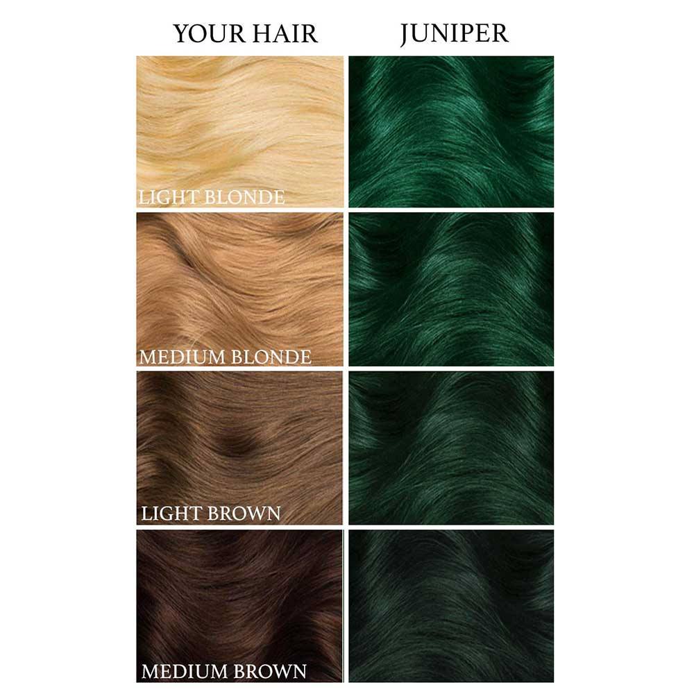 Lunar Tides Lunar Tides Semi permanent hair dye Juniper Green Green A